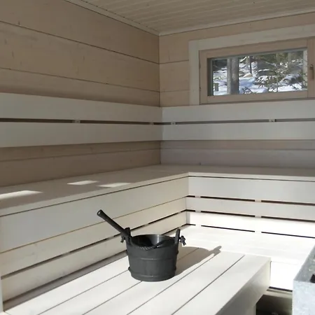 Pikkumerikotka Kustavi