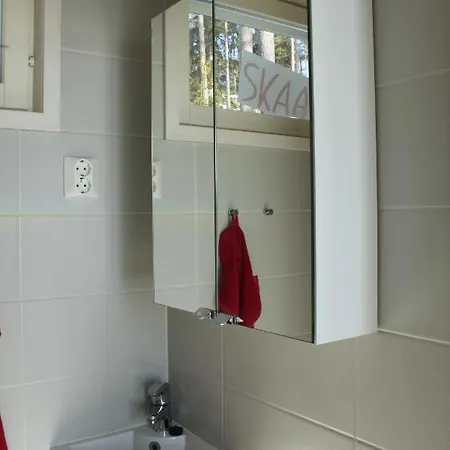 Pikkumerikotka Apartamento Kustavi