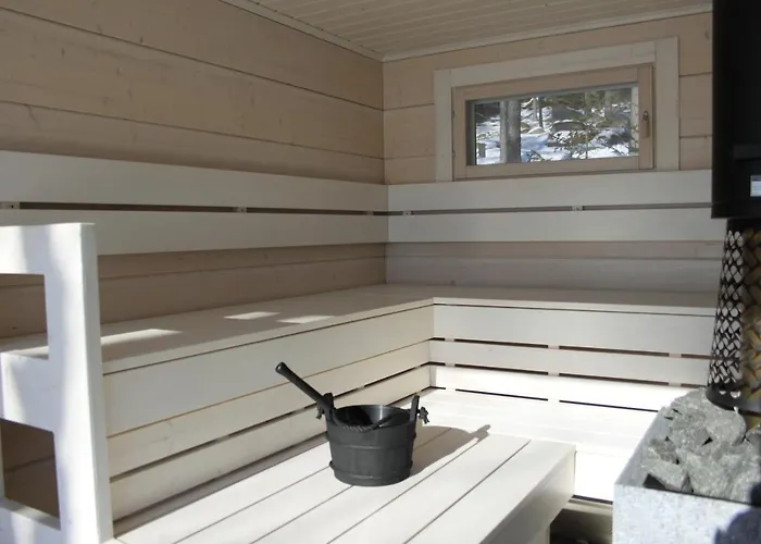 Pikkumerikotka 库斯塔维